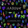 Download track Le Jardin D'Hadouk