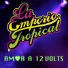 Download track Amor A 12 Volts