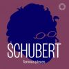 Download track Du Bist Die Ruh, Op. 59 No. 3, D. 776 (Arr. X. Van Dijk For String Quartet)