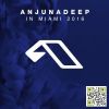 Download track Anjunadeep In Miami 2016 (Continuous Mix 2)