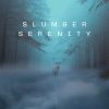 Download track Slumber Serenity