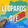 Download track Oye (Remix)