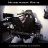 Download track November Rain