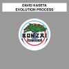 Download track Evolution Process (Kasetas Progression)