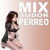 Download track Quiero Verte To' (Hernan DJ, Tucho Mix)