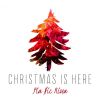 Download track Twelve Days Of Christmas