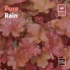 Download track Pure Rain, Pt. 10