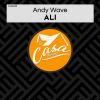 Download track Ali (Fierce City Remix)