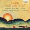 Download track Cantos Desiertos For Flute And Guitar - II. Cancion Desierto