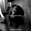 Download track Trio Jazz Soundtrack For Dogs