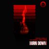 Download track Burn Down (Radio Edit)