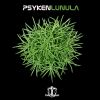 Download track Lunula