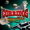 Download track Corrido Del Valle De Juárez