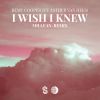 Download track I Wish I Knew (Extended Millean. Remix)