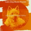 Download track Cultivated Solo Piano Jazz - Vibe For Cute Dogs