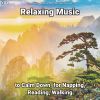 Download track Relaxing Music, Pt. 7
