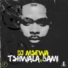 Download track Tshwala Bami