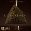 Download track Labyrinth