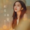 Download track 相见不能见