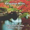 Download track Relaxation Music, Pt. 3