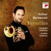 Download track III. Allegro (Arr. For Flugelhorn And Orchestra By Soma Dinyés)