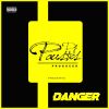 Download track Danger