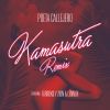 Download track Kamasutra (Remix) (Farruko & Zion & Lennox)