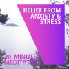 Download track 20 Minute Guided Body Scan Meditation & Music (Relief From Anxiety & Stress)