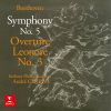 Download track Beethoven: Symphony No. 5 In C Minor, Op. 67: IV. Allegro - Presto