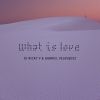 Download track What Is Love (Club Version)