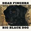 Download track Big Black Dog Revisited