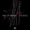 Download track Way Of Madness (Original Mix)