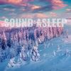 Download track Relaxing Rustling Pine Needles Winter Ambience, Pt. 1