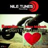 Download track Don't Try To Love Me (Andy Bianchini Remix)