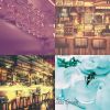 Download track Chilled Ambience For Bars