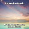 Download track Relaxation Music, Pt. 77