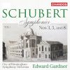 Download track Symphony No. 3 In D Major, D. 200: II. Allegretto