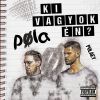 Download track Pola Intro