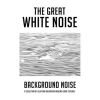 Download track White Noise Space Birds