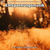 Download track Entspannungsmusik Pt. 88