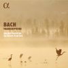 Download track Bach: Nun Komm, Der Heiden Heiland, BWV 659 (Transcr. For Recorder And Harpsichord By Julien Martin And Olivier Fortin)
