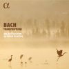 Download track Bach: Organ Sonata No. 3 In D Minor, BWV 527: III. Vivace (Transcr. For Recorder And Harpsichord By Julien Martin And Olivier Fortin)