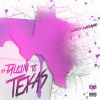 Download track Im Talkin To Texas