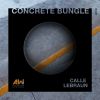 Download track Concrete Bungle (Chicks Luv Us Remix)