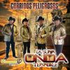 Download track Enrique Olvera