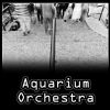 Download track Aquarium Orchestra - Aquarium Orchestra _ A Marche Bancale