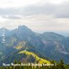 Download track Alpine Meadow Wind & Birdsong Ambience, Pt. 3