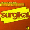 Download track Breaking Into Pieces (Extended Mix)