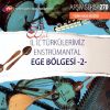 Download track Çökertmeden Çıktım Başım Selamet