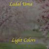 Download track Light Colors (Radio Edit)